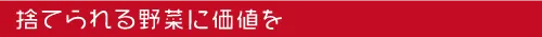 捨てられる野菜に価値を　株式会社 ハラコン | 熊本の農業に価値を創造　農業販促コーディネートでお手伝い