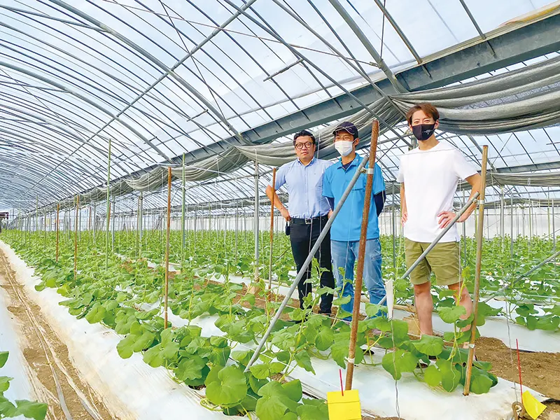 株式会社 ハラコン | 熊本の農業に価値を創造　農業販促コーディネートでお手伝い