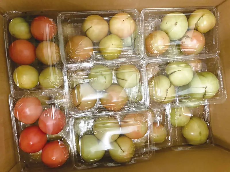 株式会社 ハラコン | 熊本の農業に価値を創造　農業販促コーディネートでお手伝い