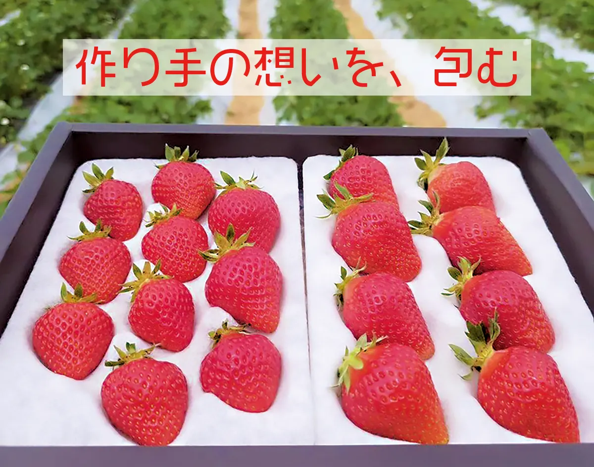 作り手の想いを包む　株式会社 ハラコン | 熊本の農業に価値を創造　農業販促コーディネートでお手伝い