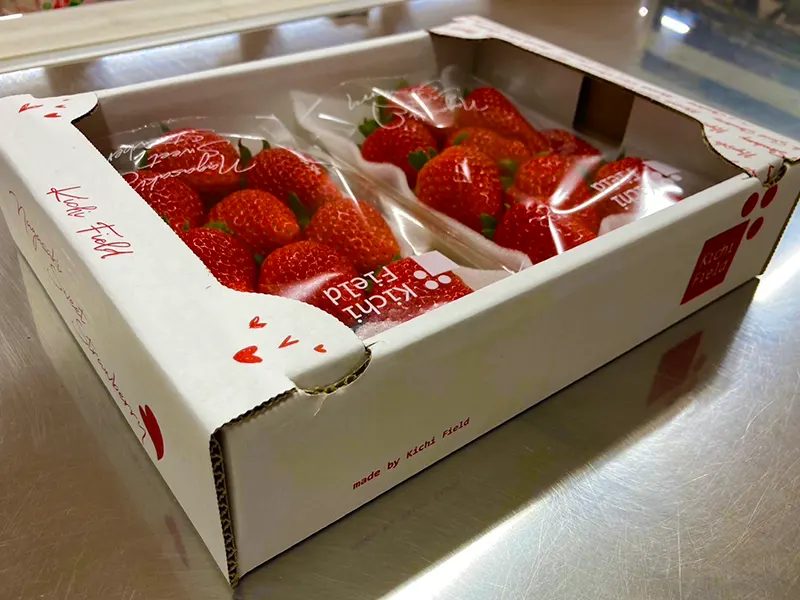 ダンボール　株式会社 ハラコン | 熊本の農業に価値を創造　農業販促コーディネートでお手伝い