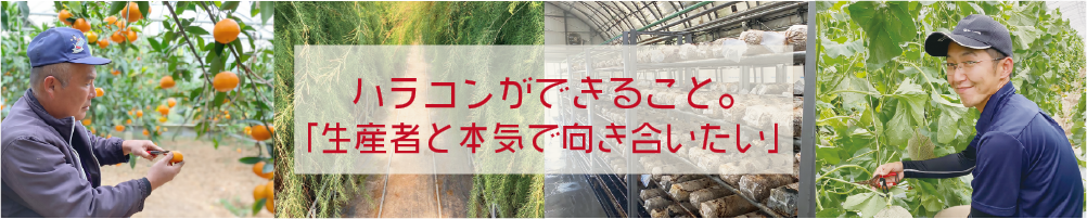 ハラコンができること　株式会社 ハラコン | 熊本の農業に価値を創造　農業販促コーディネートでお手伝い