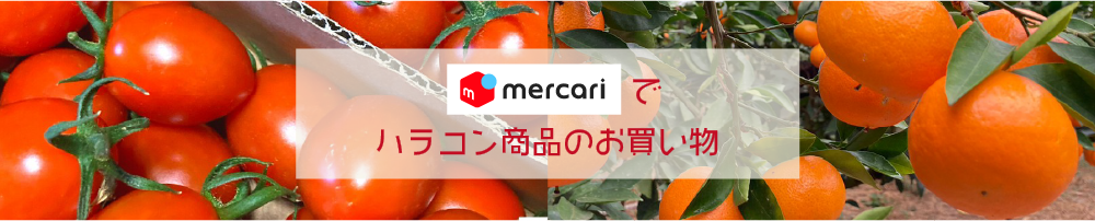 メルカリ　株式会社 ハラコン | 熊本の農業に価値を創造　農業販促コーディネートでお手伝い