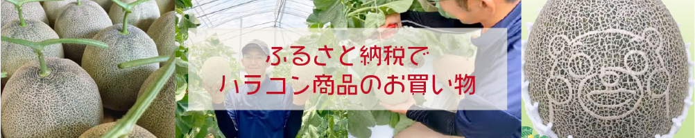 ふるさと納税　株式会社 ハラコン | 熊本の農業に価値を創造　農業販促コーディネートでお手伝い